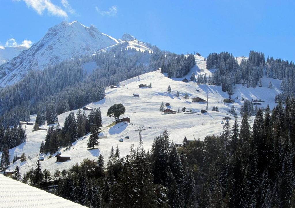Chalet Silky room 6